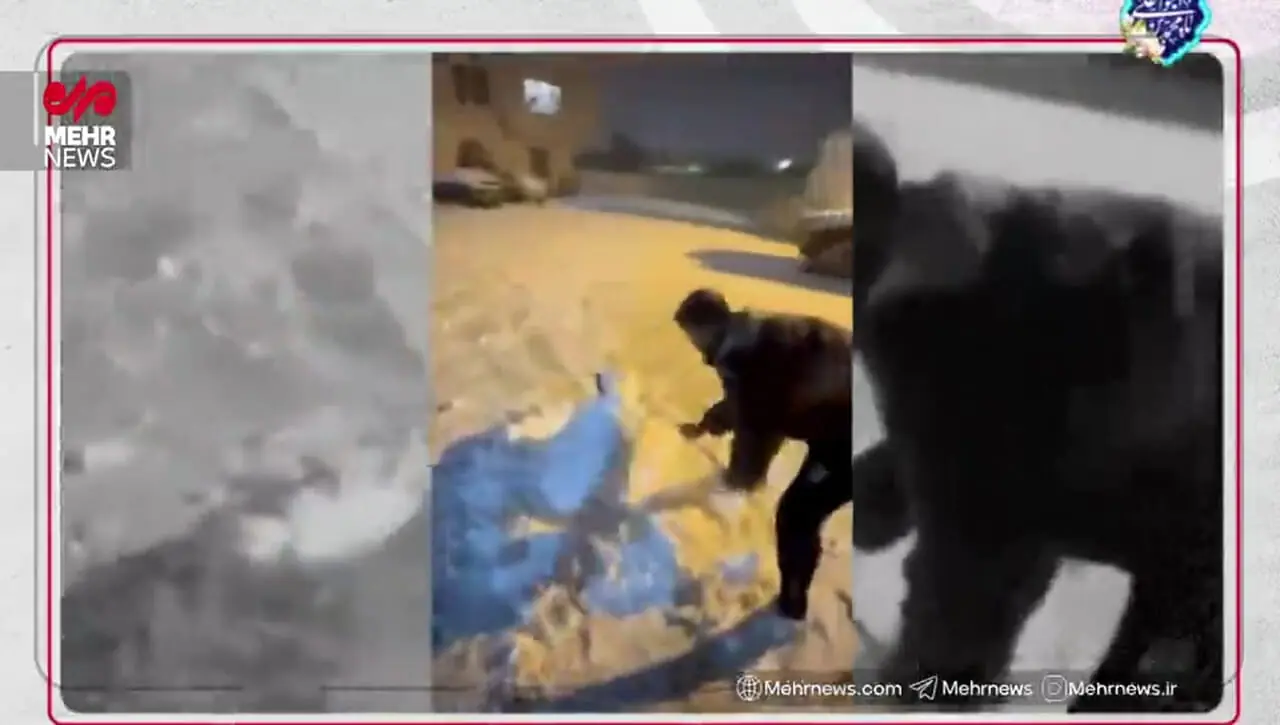 برف بازی بازیکنان تیم فوتبال تراکتور