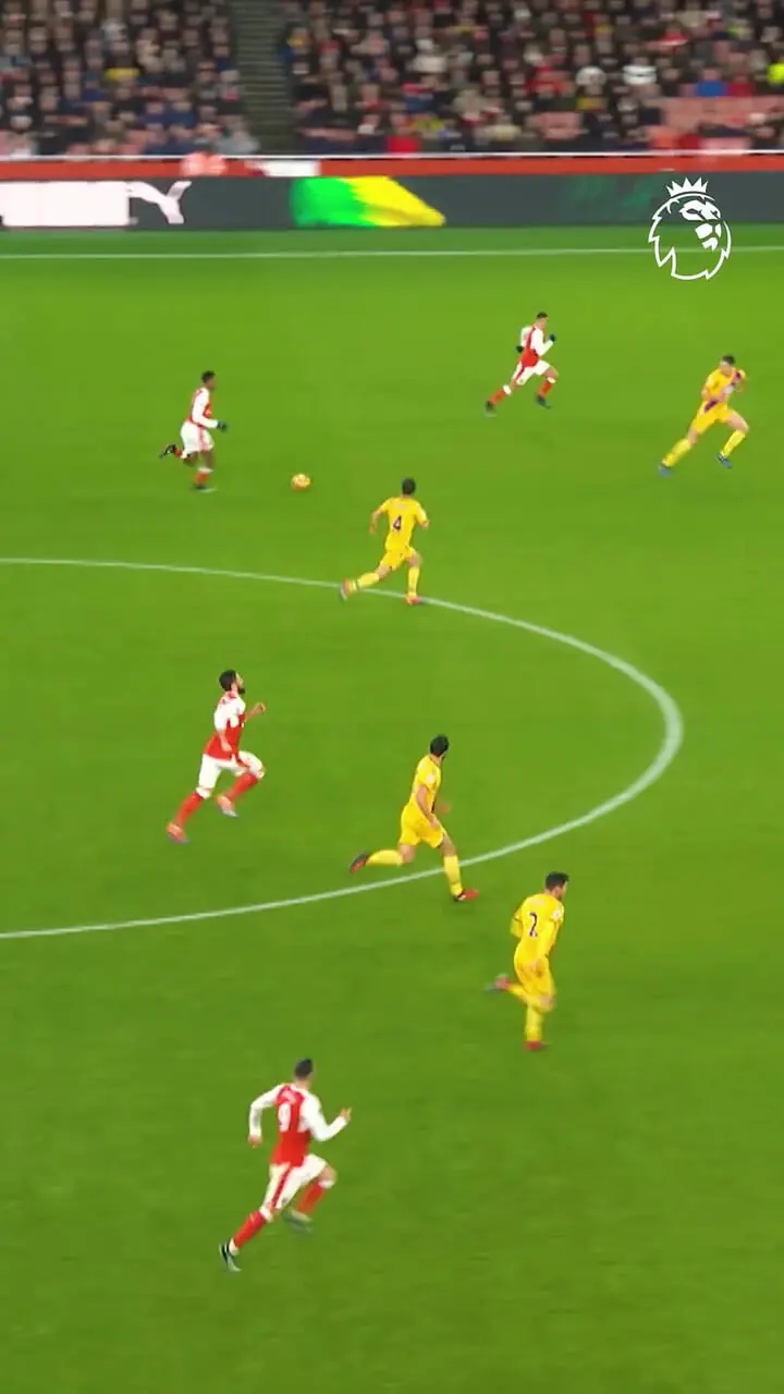 ویدئو: گل برنده پوشکاش 2017