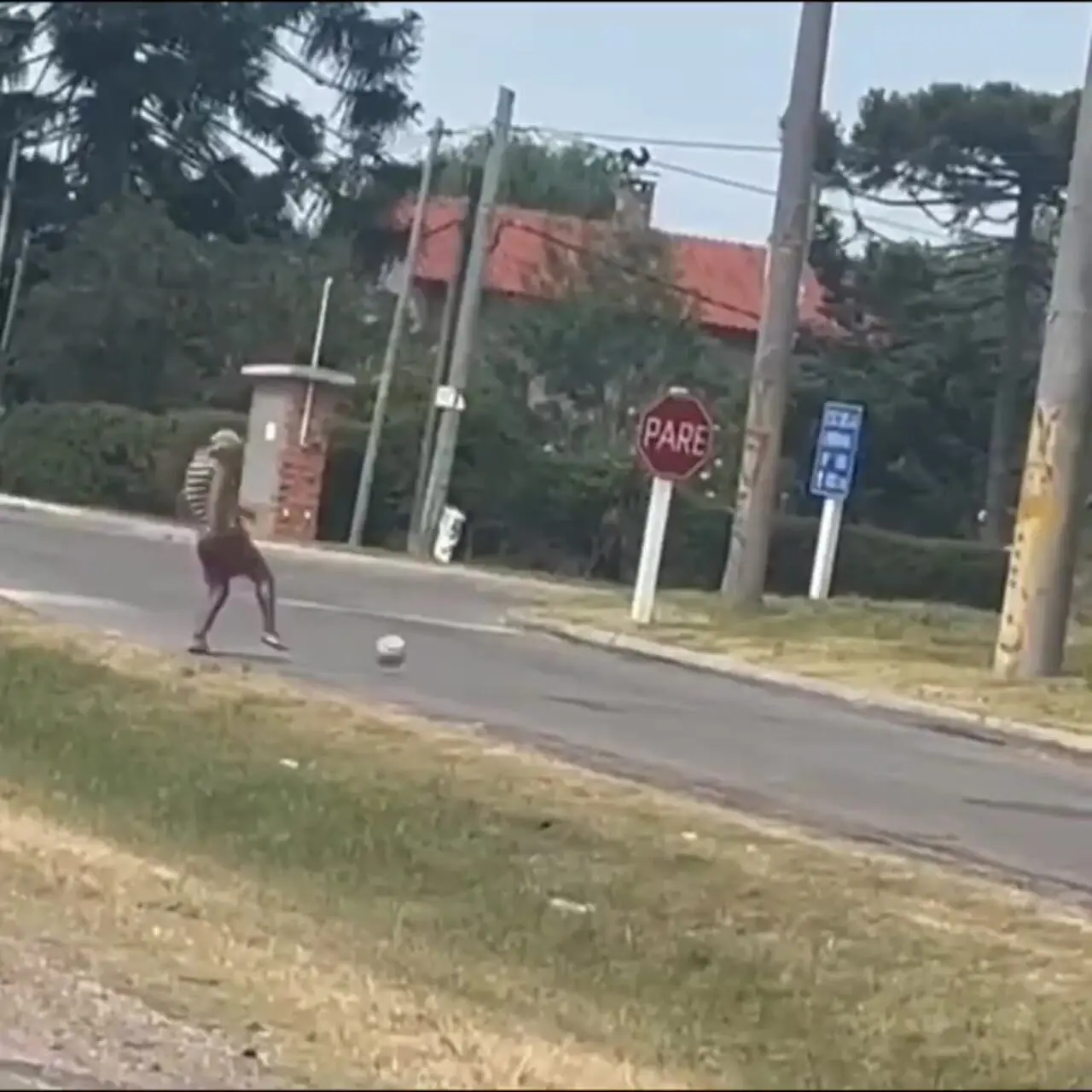 ویدئو: فرمول ساده شادی در برزیل؛ یک توپ و دیگر هیچ