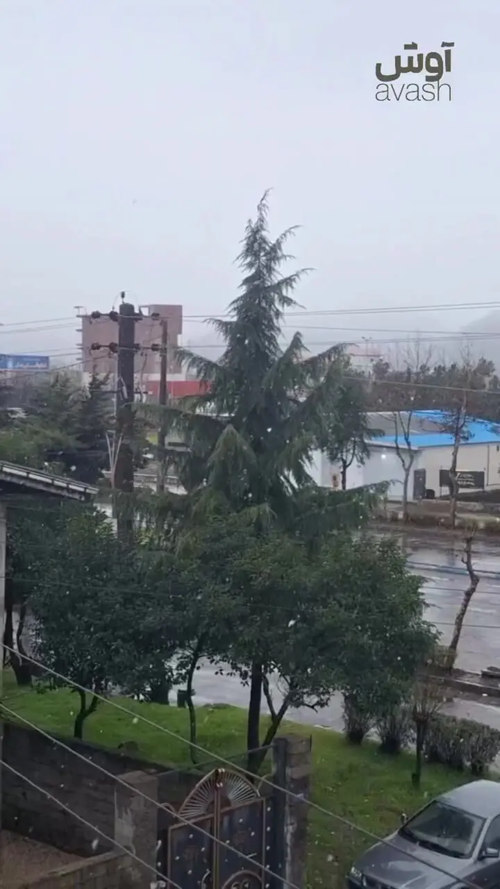 تصاویری از بارش اولین برف زمستانی در شهر آستارا