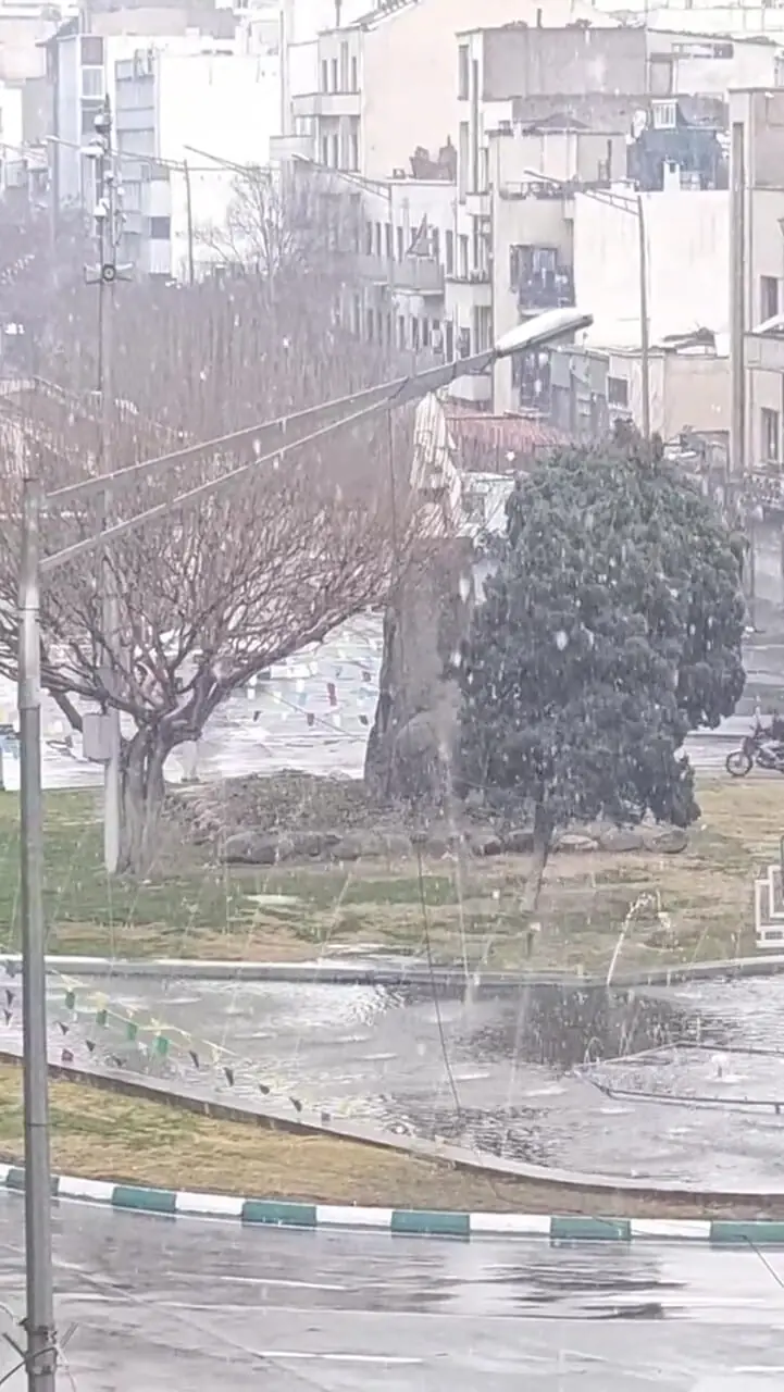 هماکنون؛ بارش برف در تهران