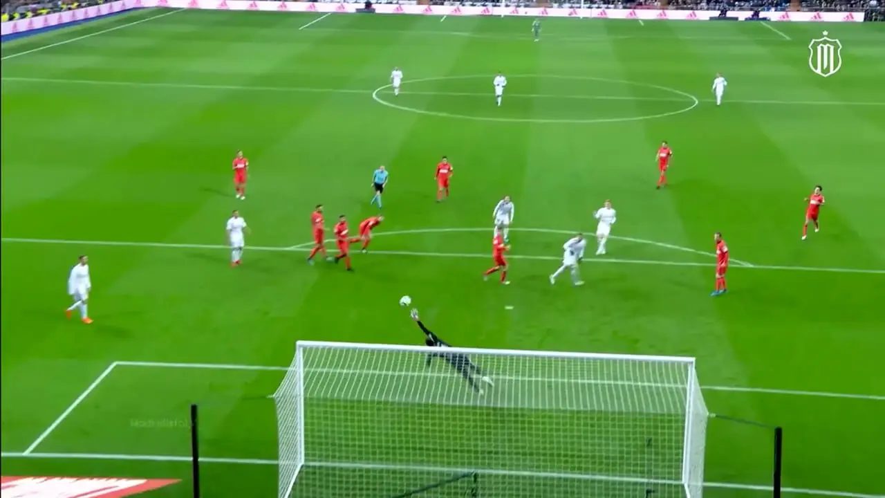 هنرنمایی مهندسِ آلمانی: تونی هستم قلب تپنده