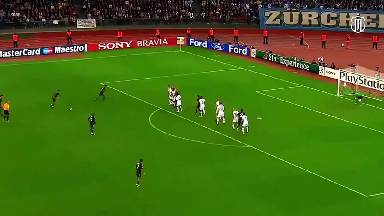 ویدئو: مروری بر گل‌های فوق ستاره پرتقالی