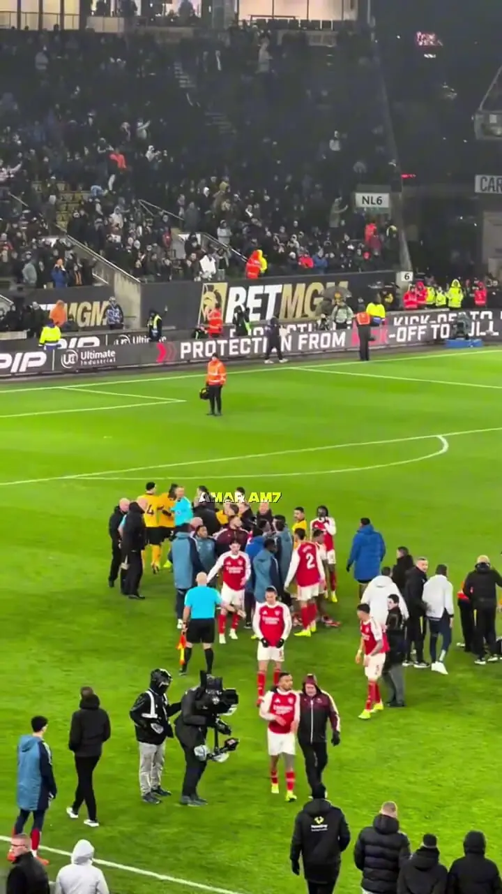 ویدئو: حرکت خشن ژسوس پس از تساوی ناامیدکننده آرسنال