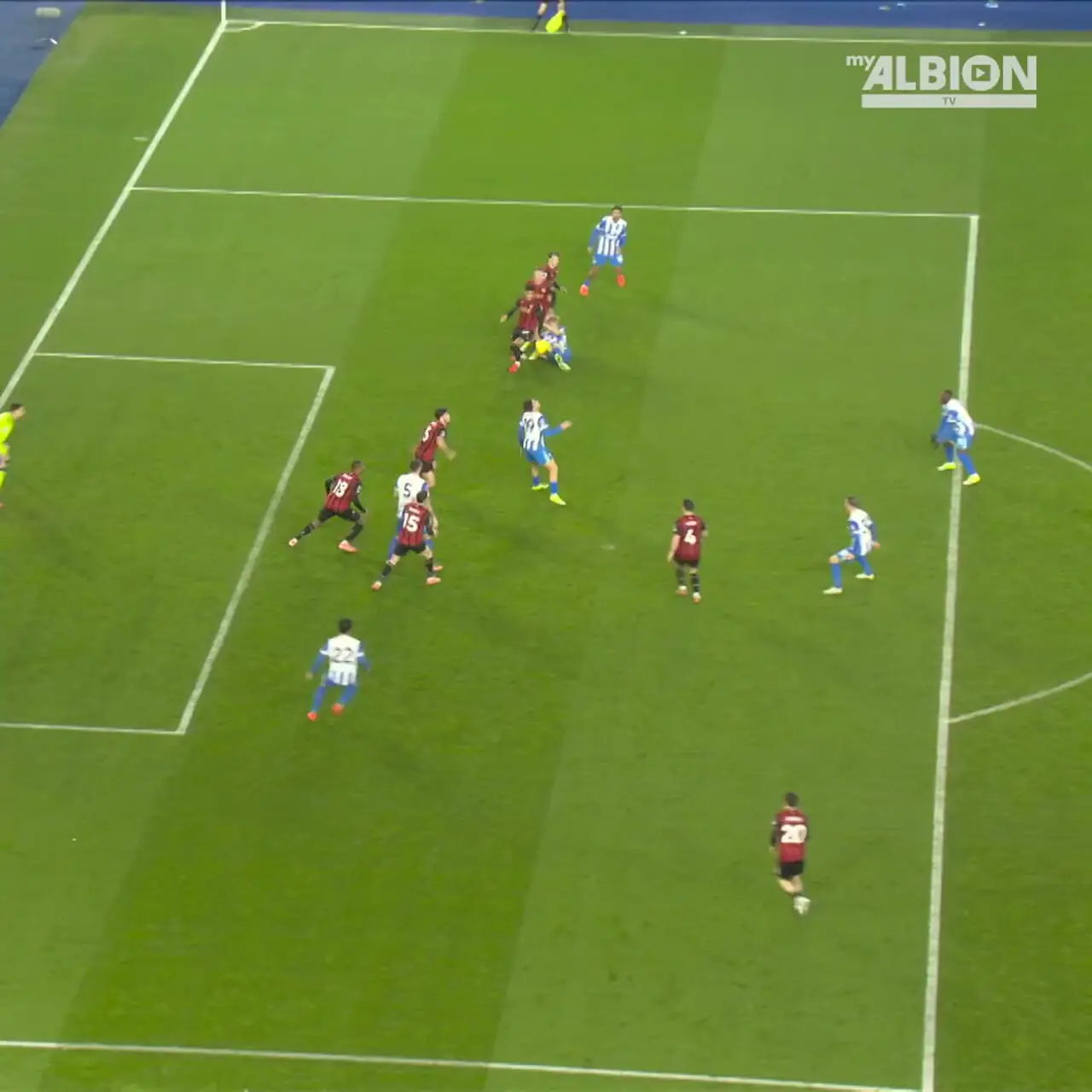 ویدئو: ستاره 18 ساله زننده گل ماه برایتون