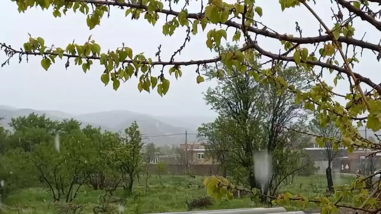 بارش برف در شهرستان راز خراسان شمالی