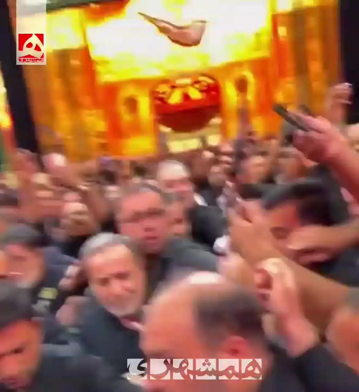 استقبال بسیار گرم زائران از عراقچی در کربلا