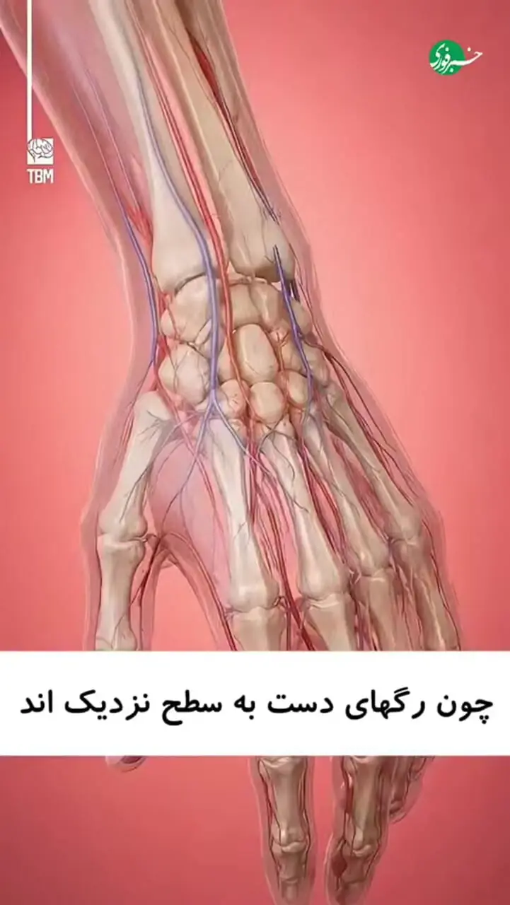 چرا رگ‌های دست برجسته ‌می‌شوند؟!