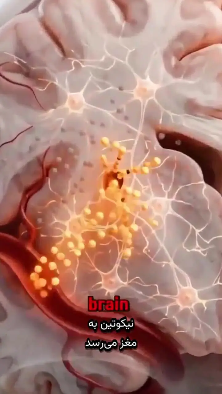 سیگار کشیدن چه تأثیری بر بدن شما می‌گذارد؟