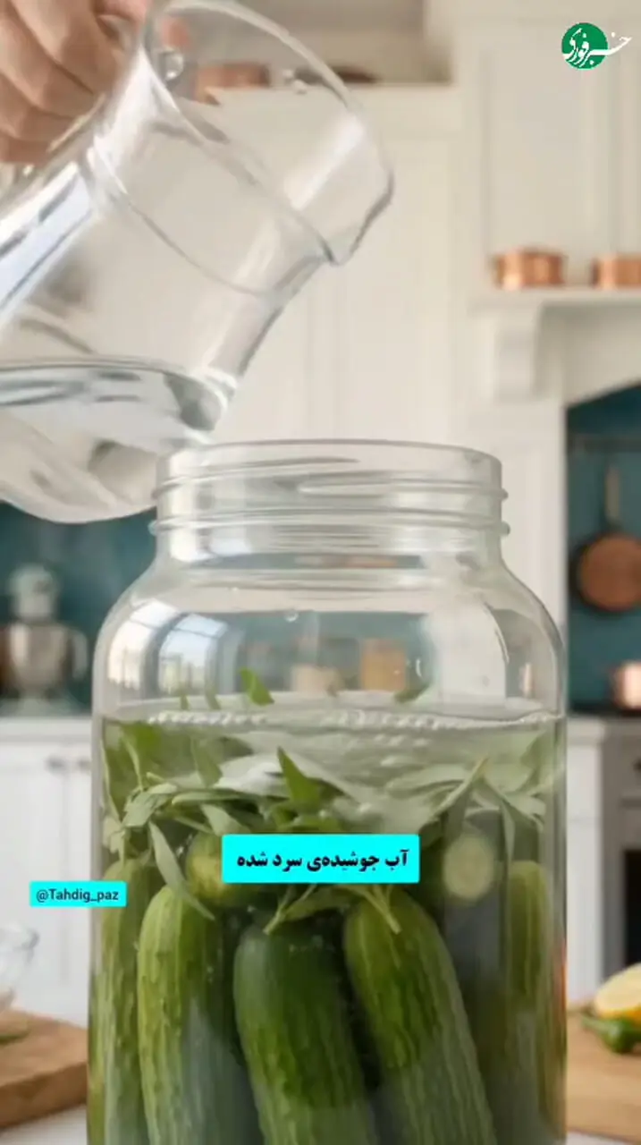 خیارشور فوری و خانگی با راحت ترین روش