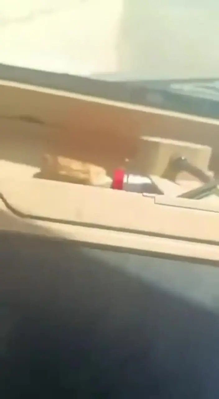 مزدوران عربستانی زخمی های انصارلله را با خودرو زیر می گیرند