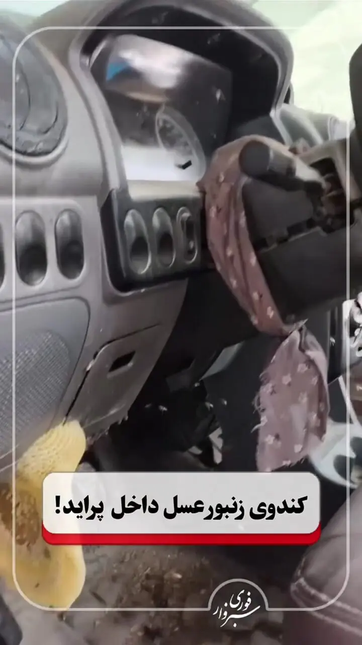 پرایدی که کندوی عسل شد