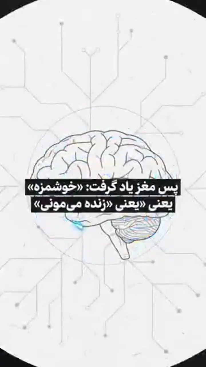 چرا هر چیزی که خوشمزه‌ست ضرر دارد؟